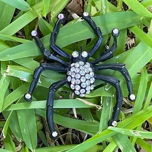 💎 Gorgeous Spider Pin